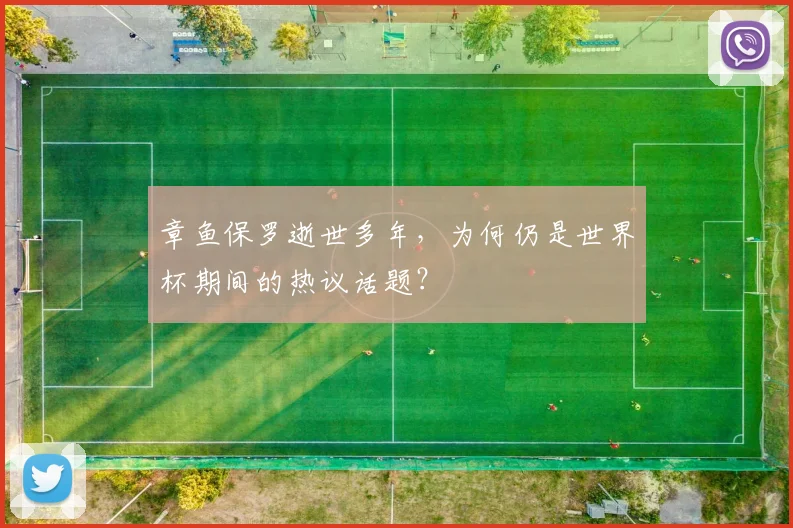章鱼保罗逝世多年，为何仍是世界杯期间的热议话题？