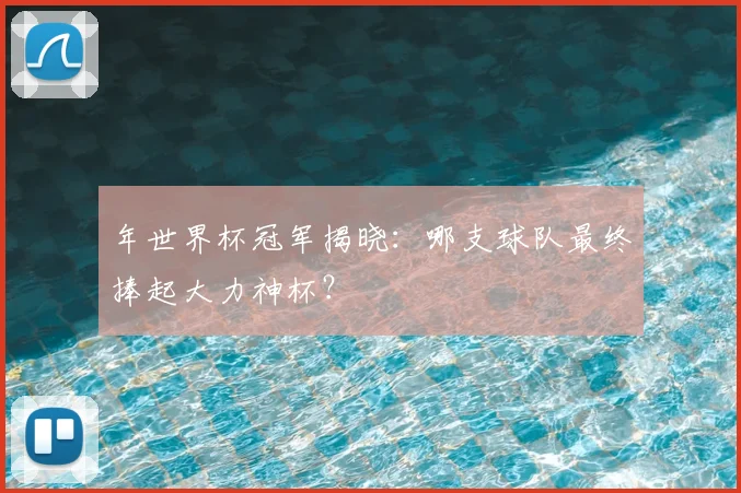 年世界杯冠军揭晓：哪支球队最终捧起大力神杯？