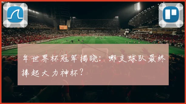 年世界杯冠军揭晓：哪支球队最终捧起大力神杯？