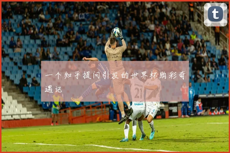 一个知乎提问引发的世界杯购彩奇遇记