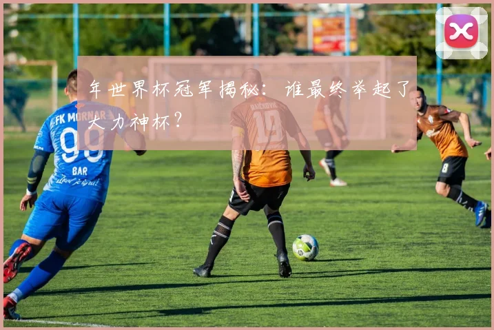 年世界杯冠军揭秘：谁最终举起了大力神杯？