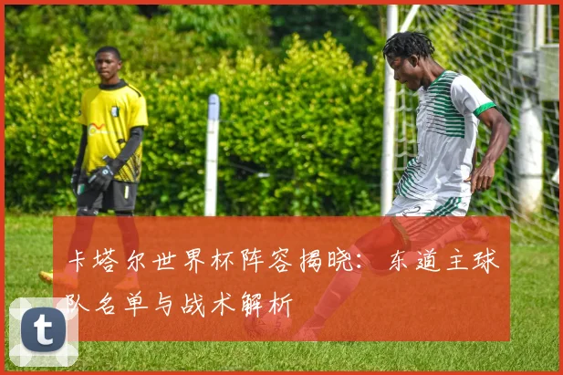 卡塔尔世界杯阵容揭晓：东道主球队名单与战术解析