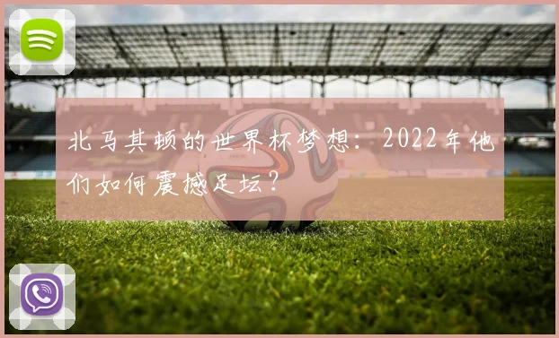 北马其顿的世界杯梦想：2022年他们如何震撼足坛？