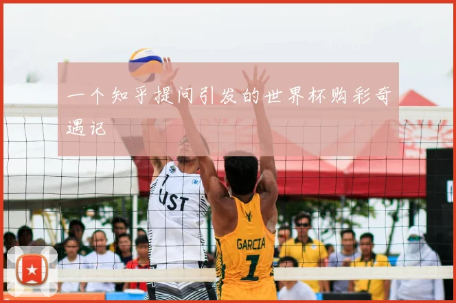 一个知乎提问引发的世界杯购彩奇遇记
