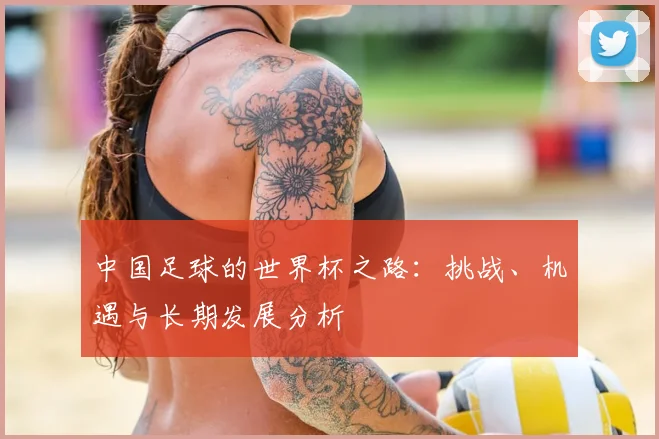 中国足球的世界杯之路:挑战、机遇与长期发展分析