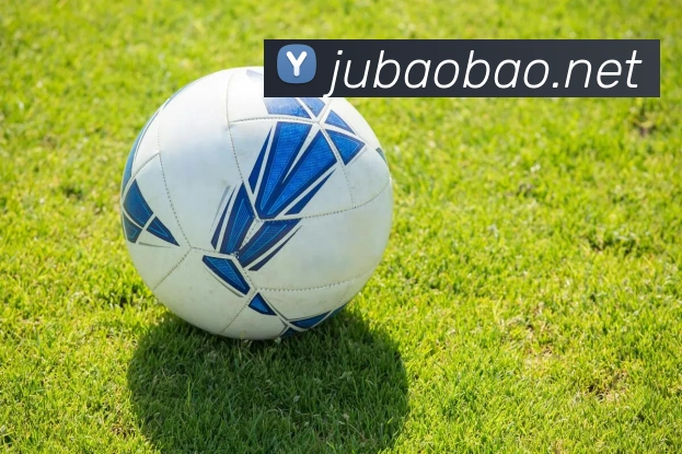 开云app网页登录入口品牌故事